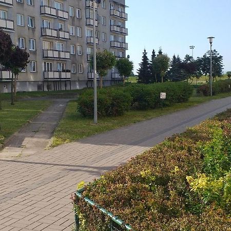 Apartament Wik-Mar Lejlighed Elbląg Eksteriør billede